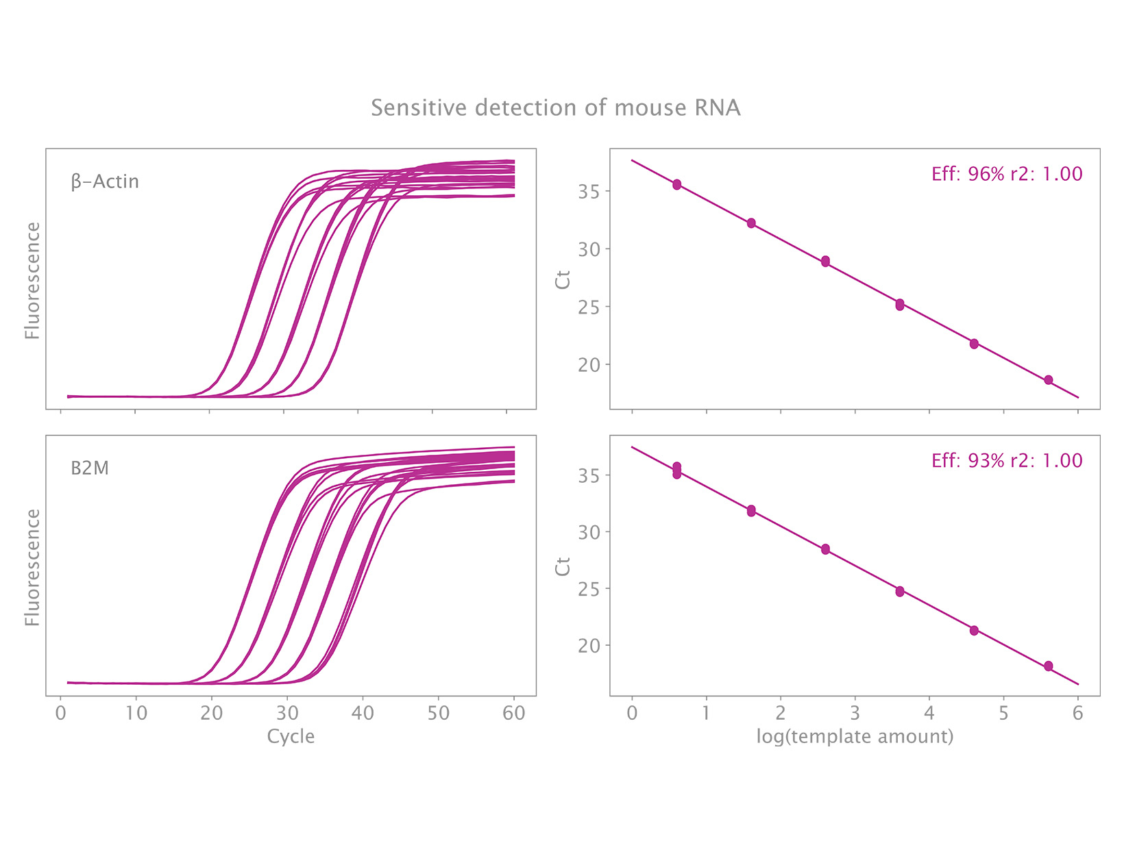 Clara™ Probe 1-Step Mix Clara™ Probe 1-Step Mix
