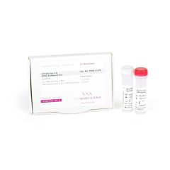 UltraScript 2.0 cDNA Synthesis Kit