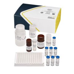 Okadaic Acid (DSP) (EC 2002/225 Compliant), ELISA 96 tests