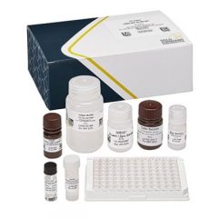 DDE/DDT, ELISA, 96 tests