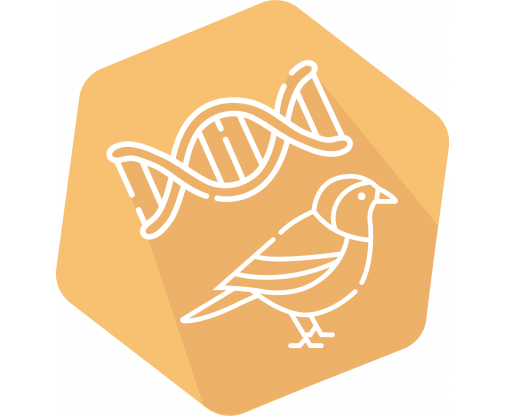 DNAnimal Screen Bird IPC