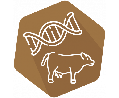 DNAnimal Screen Ruminant IPC