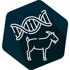 DNAnimal Ident Goat IPC