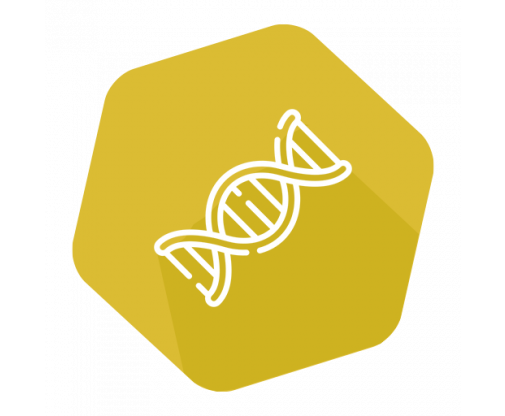 dna_icon_gold