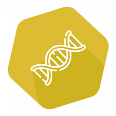 DNAnimal Mplex Horse&Donkey/Cattle/Chicken