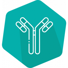 Imidacloprid/Clothianidin, Sample Diluent, 1 L