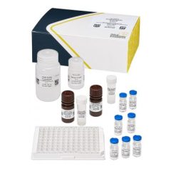 Domoic Acid (Onsite Technologies), ELISA 96 tests