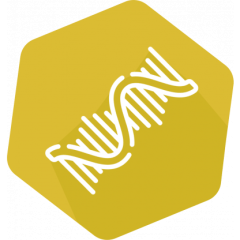 VIRSeek RNAExtractor Food