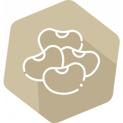 SENSISpec Spike Solution Soy