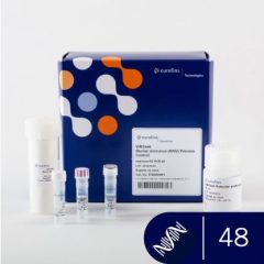 VIRSeek Murine Norovirus (MNV) Process Control