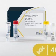 VIRSeek Food Hepatitis A Virus Real-time RT-PCR