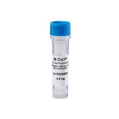 Antibody, Anti-Cry 1F, polyclonal (rabbit), 0.5 mg