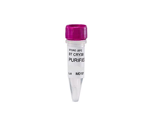 490071-bt-cry3b-antibody