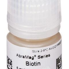 AbraMag Biotin Magnetic Beads, 2 mL, 5 mg/mL