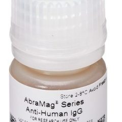 AbraMag anti-Human Magnetic Beads, 1 mL sample size, 5 mg/mL