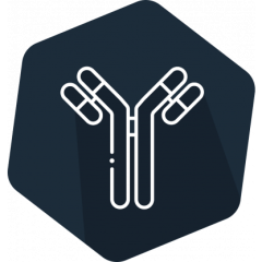 Clenbuterol ELISA kit, 96 det.