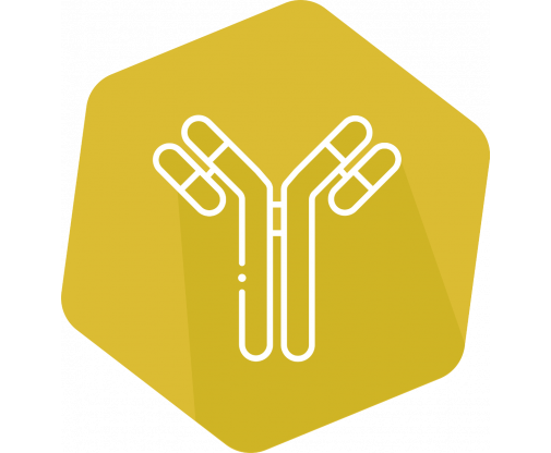 elisa_icon_gold_bzero_2
