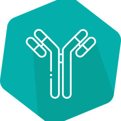 I'screen Tylosin, ELISA, 96 det.