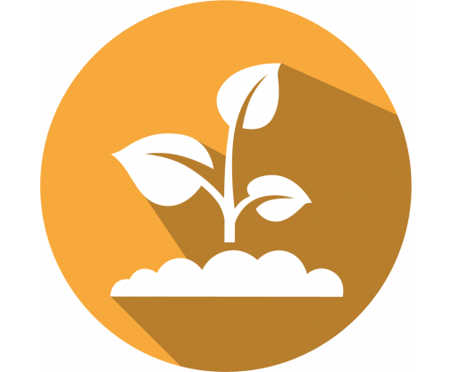 microsoftteams-image_3__1