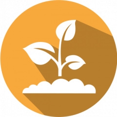 GMOIdent RT IPC (LR) Event MON88302 Canola