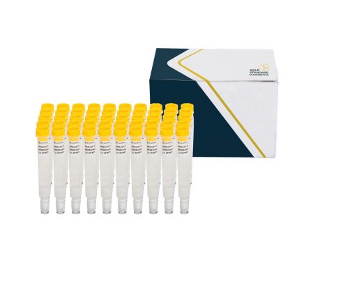 sensicolumn_aflatoxin_m1_1