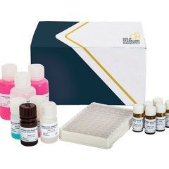SENSISpec ELISA Aflatoxin B1 Rapid