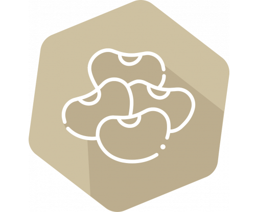soy_icon_3