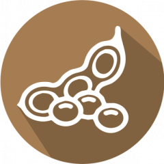 GMOIdent RT IPC (LR) Event MON87705 Soy